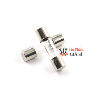Cầu chì ống 2A 5x20mm ❤️freeship❤️