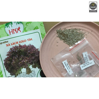 Hạt giống xà lách tím (xà lách xoăn tím - xà lách Lollo Rossa)