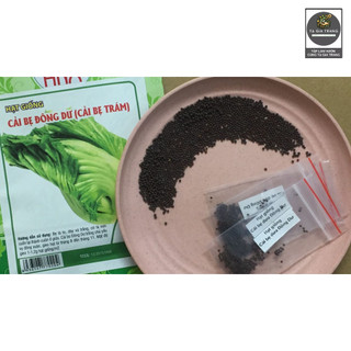Hạt giống cải bẹ dưa (cải bẹ Đông Dư, cải bẹ muối dưa)