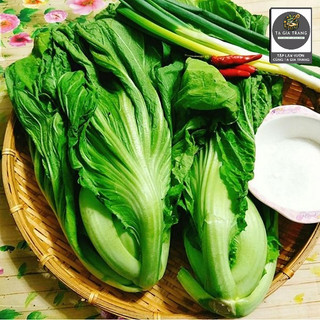 Hạt giống cải bẹ dưa (cải bẹ Đông Dư, cải bẹ muối dưa)