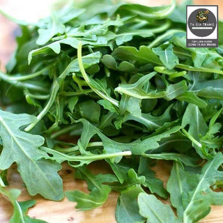 Hạt giống rau Wild Rocket Arugula, vị cay nhẹ, dễ trồng, thu hoạch nhanh