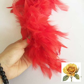 Dây lông vũ, lông ngỗng dài 2m - màu đỏ