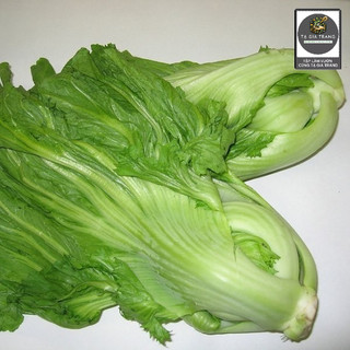 [Bán sỉ] - Hạt giống rau cải bẹ dưa (cải bẹ Đông Dư)