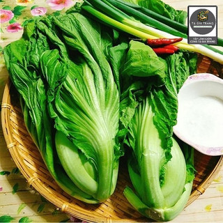 [Bán sỉ] - Hạt giống rau cải bẹ dưa (cải bẹ Đông Dư)