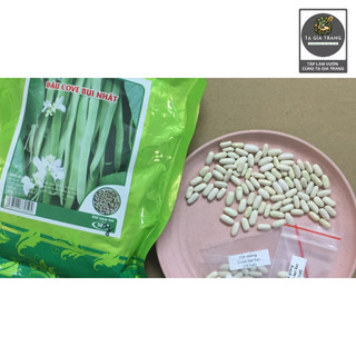 [Bán sỉ] - Hạt giống đậu cove lùn (đậu cove bụi xanh) - Shop hạt giống Tạ Gia Trang