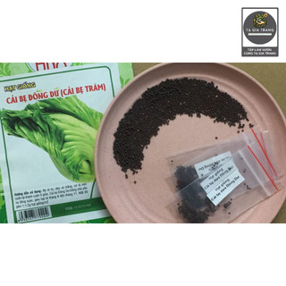 [Bán sỉ] - Hạt giống rau cải bẹ dưa (cải bẹ Đông Dư)