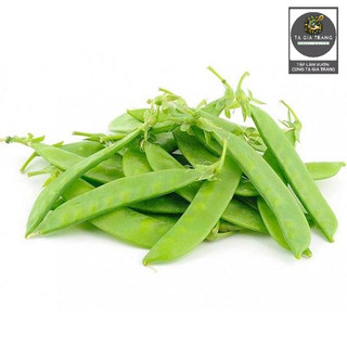 [Bán Sỉ] - Hạt Giống Đậu Hà Lan