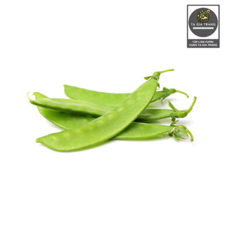 [Bán Sỉ] - Hạt Giống Đậu Hà Lan