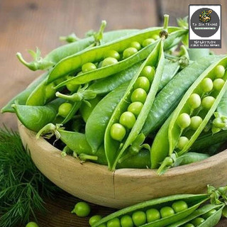 [Bán Sỉ] - Hạt Giống Đậu Hà Lan