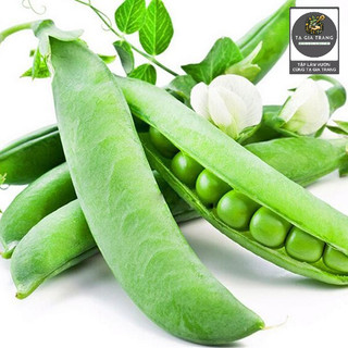[Bán Sỉ] - Hạt Giống Đậu Hà Lan