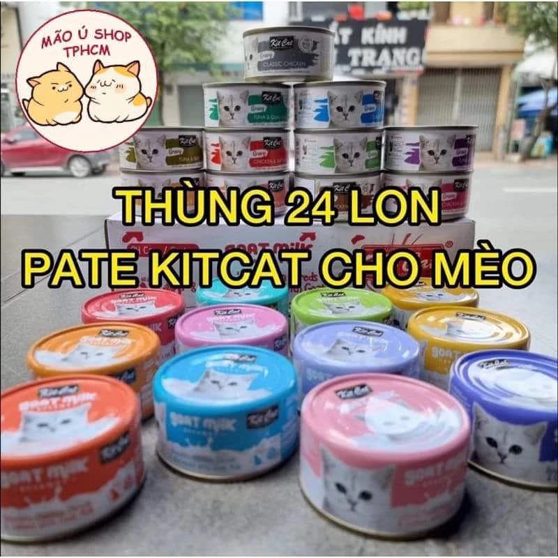 [COMBO 12-60 LON 70G] PATE KITCAT GRAVY VÀ SỮA DÊ CHO MÈO