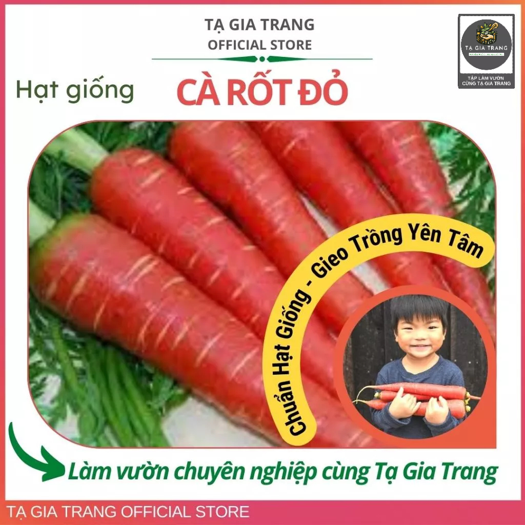 Hạt giống cà rốt đỏ Red Carot - Shop hạt giống Tạ Gia Trang
