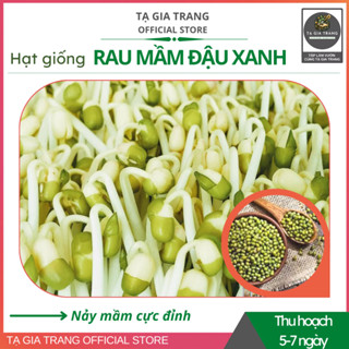 Hạt giống rau mầm đậu xanh (giá đỗ) - Shop hạt giống Tạ Gia Trang