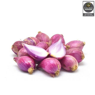 Hạt giống hành tây đỏ - Shop hạt giống Tạ Gia Trang