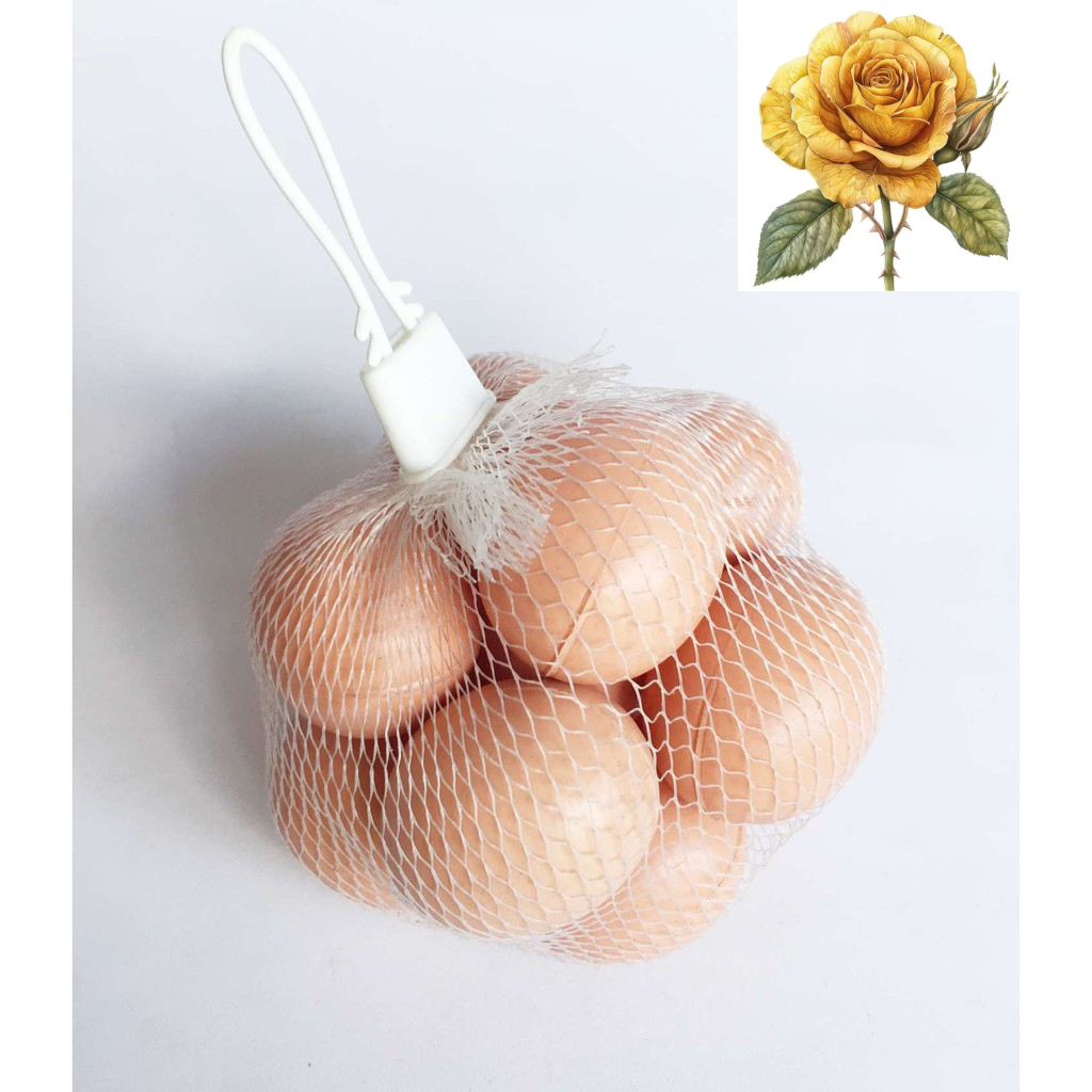 Túi trứng gà, trứng vịt  giả 12 trái - chọn loại