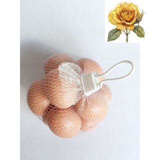 Túi trứng gà, trứng vịt  giả 12 trái - chọn loại