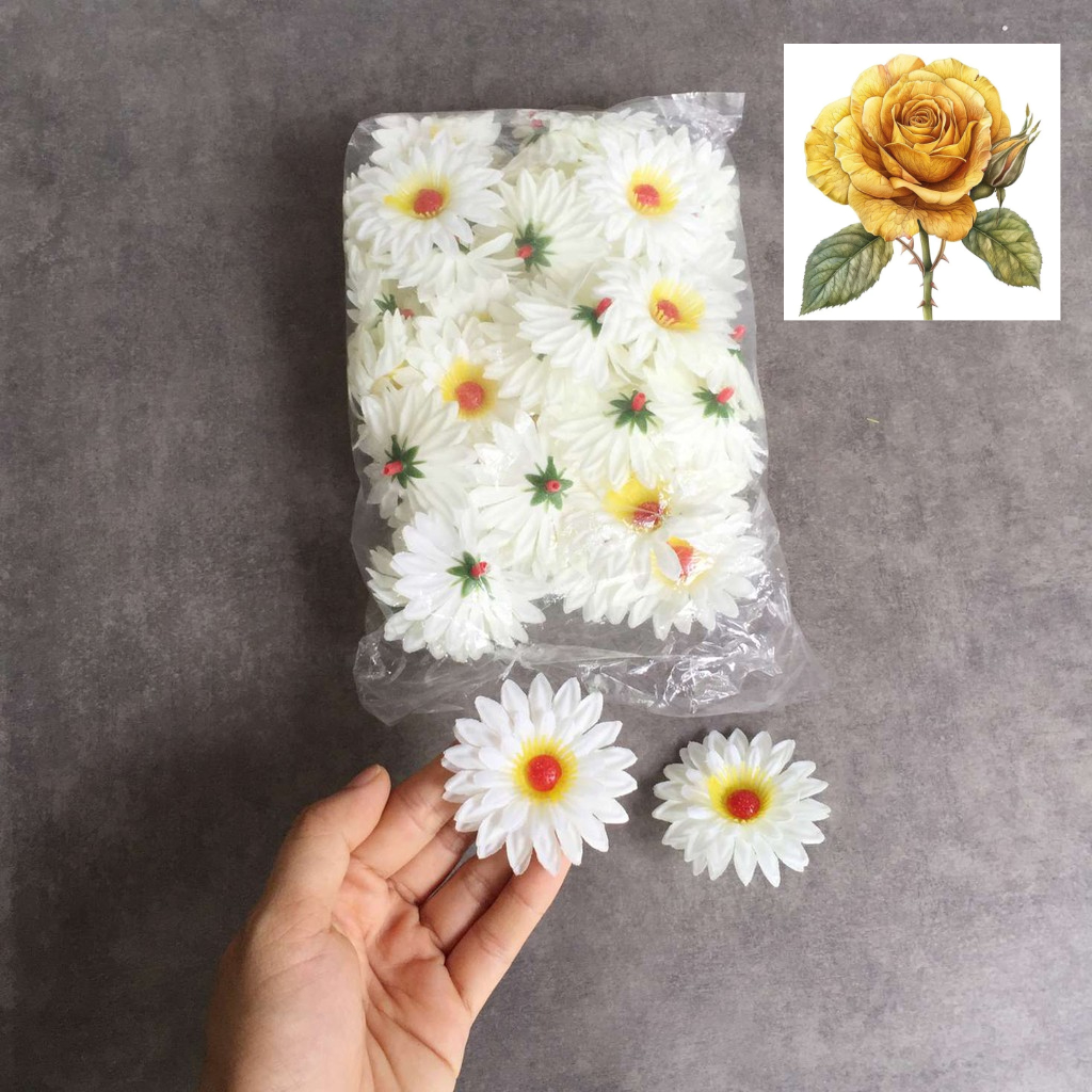 Bịch hoa cúc trắng 25 bông