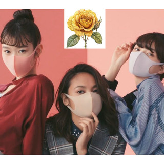 Combo 5 khẩu trang 3D Hàn Quốc - màu ngẫu nhiên