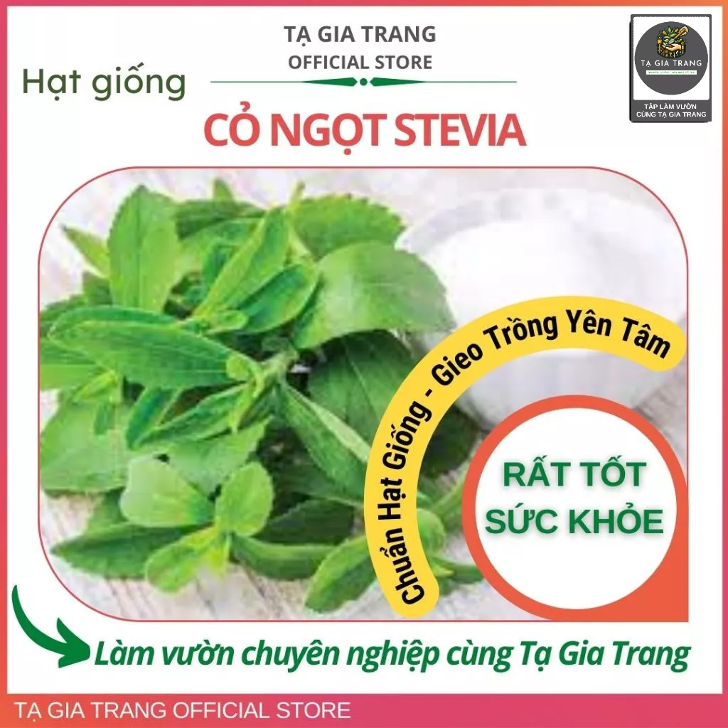 Hạt Giống Cỏ Ngọt Stevia