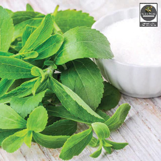 Hạt Giống Cỏ Ngọt Stevia
