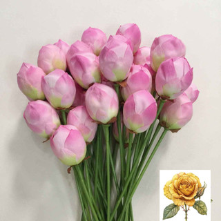 Cành hoa sen giả - cành sen vải lụa cao cấp