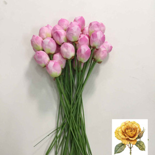 Cành hoa sen giả - cành sen vải lụa cao cấp
