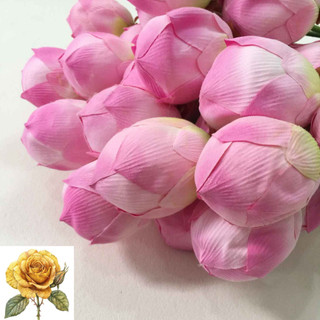 Cành hoa sen giả - cành sen vải lụa cao cấp