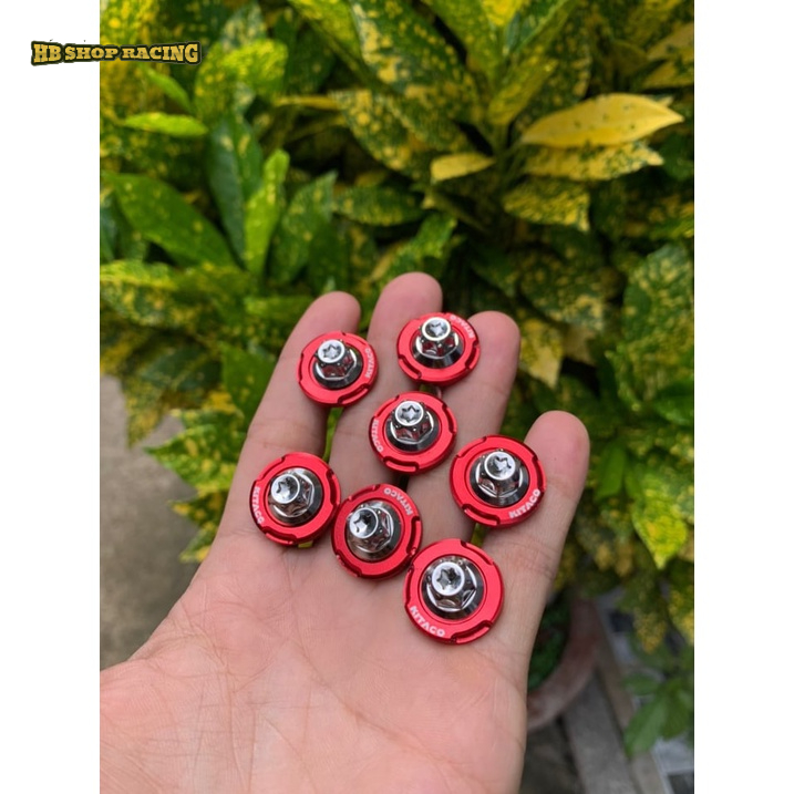 COMBO 10 CÁI LONG ĐỀN KITACO 6LY 8LY