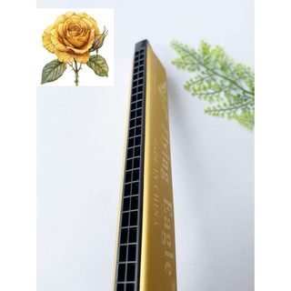 Kèn hamonica 24 lỗ cao cấp màu vàng