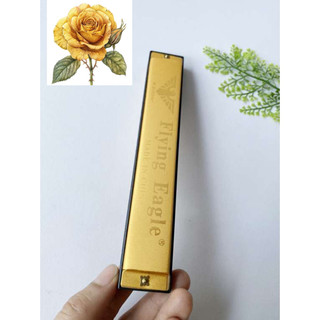 Kèn hamonica 24 lỗ cao cấp màu vàng