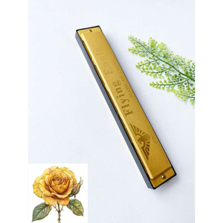 Kèn hamonica 24 lỗ cao cấp màu vàng