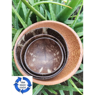 COMBO Chén gáo dừa size lớn 13~15cm, muỗng gỗ dừa