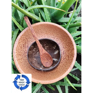 COMBO Chén gáo dừa size lớn 13~15cm, muỗng gỗ dừa