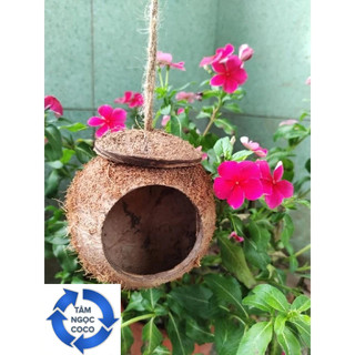 TỔ CHIM HAMSTER THÚ CƯNG| GÁO DỪA MINI SIZE