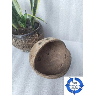 Gáo làm sạch sơ gáo hàm ếch size lớn