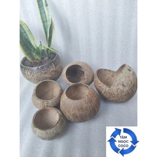 Gáo làm sạch sơ gáo hàm ếch size lớn