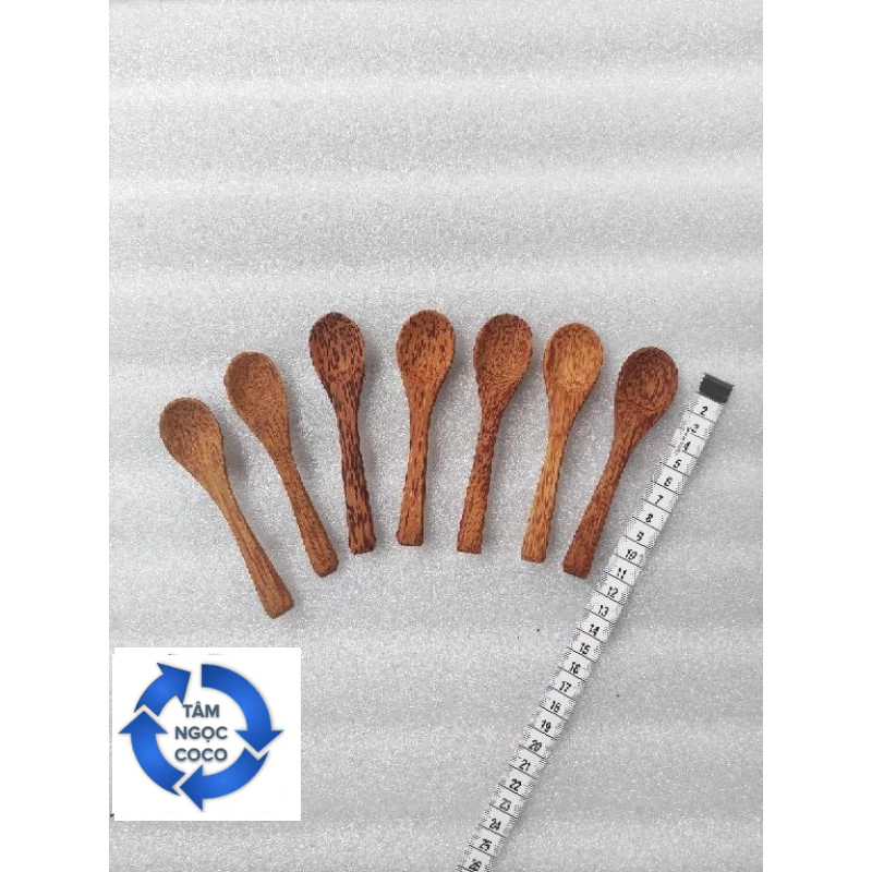 MUỖNG GỖ DỪA (12CM)