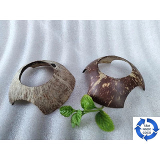 ĐẾ LÓT DỪA TRỌC ĐẾ CHƯNG DỪA BƯỞI