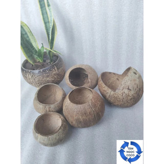 Gáo chén gáo làm sạch sơ