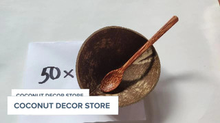 Combo 50 CHÉN GÁO DỪA VÀ MUỖNG GỖ DỪA