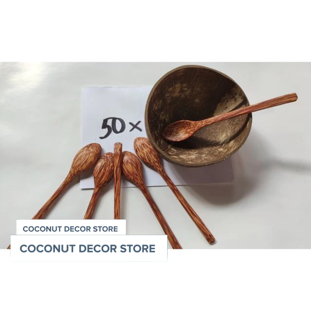 Combo 50 CHÉN GÁO DỪA VÀ MUỖNG GỖ DỪA