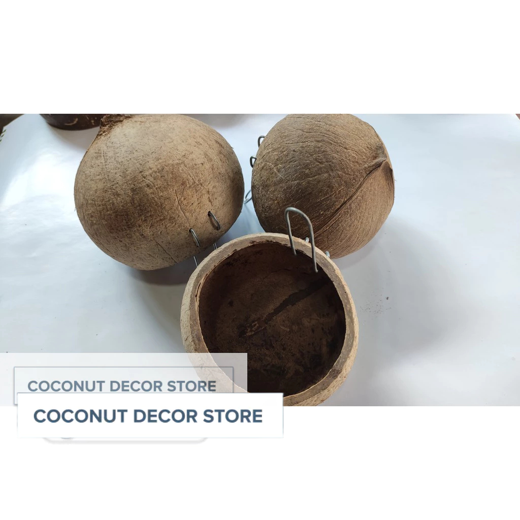 Gáo cho gà ăn, uống nước | Gáo gà