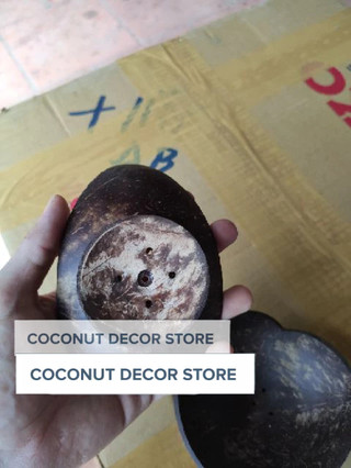 Dĩa xà bông gáo dừa