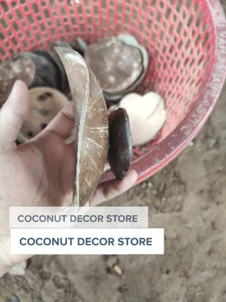 Dĩa xà bông gáo dừa