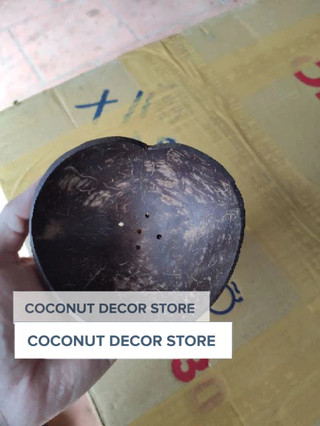Dĩa xà bông gáo dừa