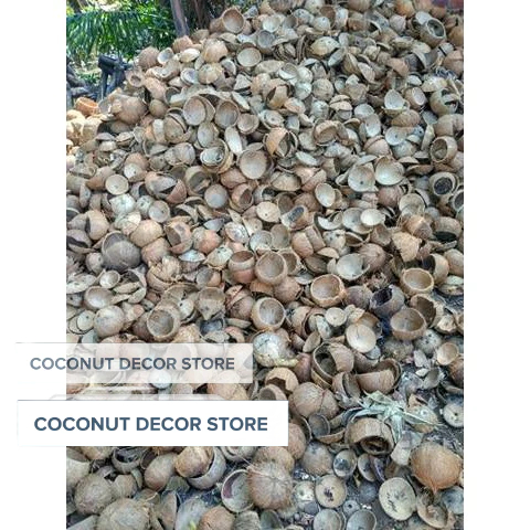 Gáo dừa đốt than