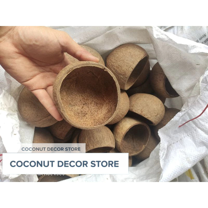 Gáo Dừa Thô Nhỏ Được Làm Sạch Xơ