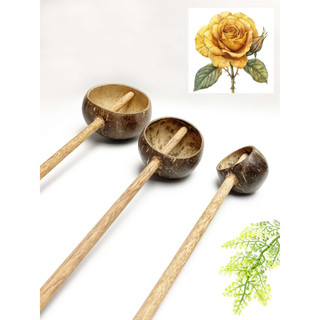 Gáo dừa múc nước - chọn gáo