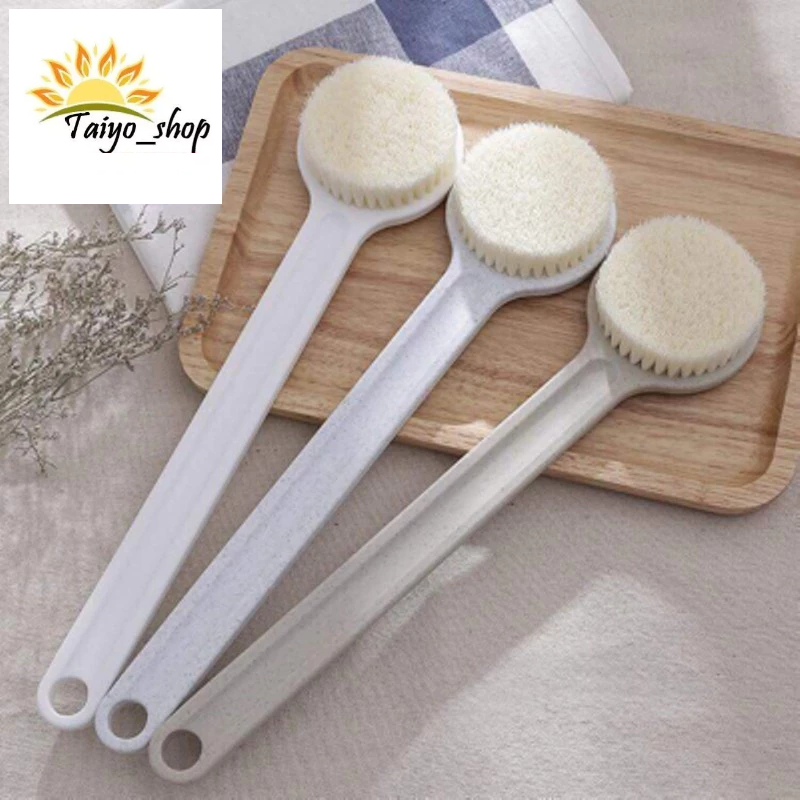 Cây bàn chải cọ lưng chà lưng