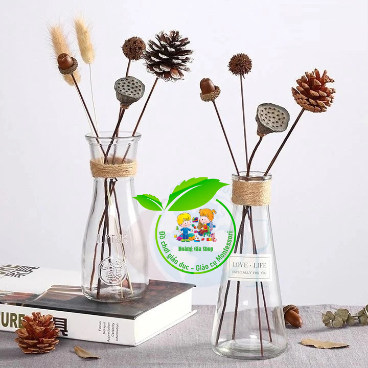 Bình thủy tinh cắm hoa, bình thả hạt